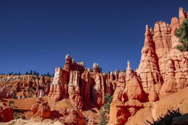 Bryce Canyons 'un göz kamaştırıcı güzelliğini keşfedin. Canlı kaya oluşumları ve çevresini saran yemyeşil alanlar.