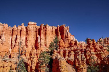 Bryce Canyons 'un göz kamaştırıcı güzelliğini keşfedin. Canlı kaya oluşumları ve çevresini saran yemyeşil alanlar.