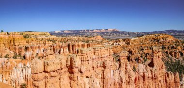 Bryce Canyons 'un göz kamaştırıcı güzelliğini keşfedin. Canlı kaya oluşumları ve çevresini saran yemyeşil alanlar.