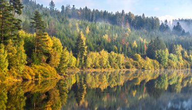 Huzurlu bir sonbahar yeşilliği sakin sulara yansıyor, büyüleyici sabah ışığı altında.