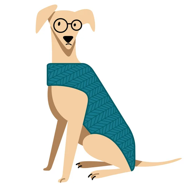 在白色背景下 穿着蓝色针织毛衣和眼镜的有趣可爱的小狗的矢量卡通画 适用于宠物店 狗类服装 狗类产品 狗类课程 犬舍俱乐部 — 图库矢量图片
