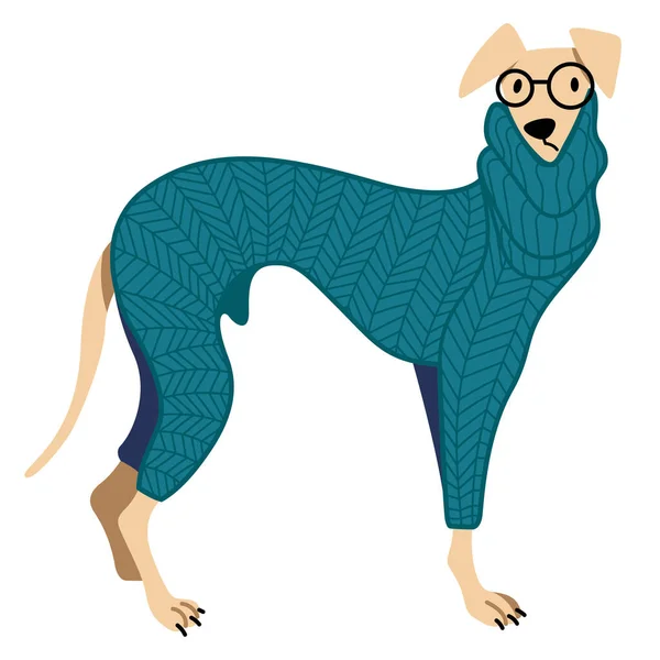 在白色背景下 穿着蓝色针织毛衣和眼镜的有趣可爱的小狗的矢量卡通画 适用于宠物店 狗类服装 狗类产品 狗类课程 犬舍俱乐部 — 图库矢量图片