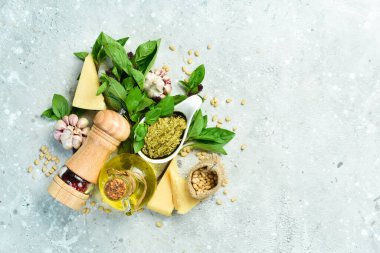 Pesto sosu hazırlığı. Fesleğen, çam fıstığı, parmesan ve zeytinyağı. Gri beton arka planda.