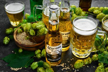 UKRAINE, LVIV - 12 SEP 2022: cam şişede Corona birası, taze hop ve bira bardakları. Reklam pankartı.