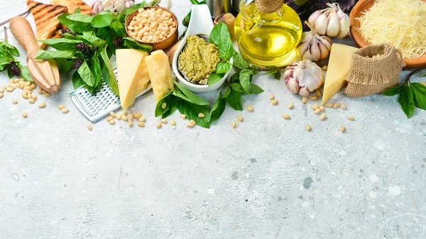 Preparation Pesto Sauce Ingredients Basil Pine Nuts Parmesan Olive Oil — Stock Photo, Image