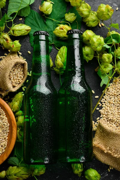 Fresh hop, glasses and beer. Light beer in glass bottles on a black stone background. Beer banner.