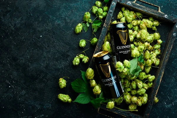 Ukraine Lviv Eylül 2022 Bira Guinness Rlanda Birası Taze Bira — Stok fotoğraf