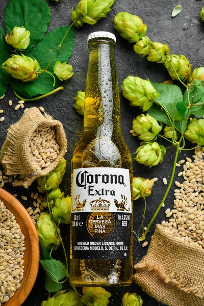 Ukraine Lviv 2022年9月12日 ガラス瓶 フレッシュホップ ビールグラスのコロナビール 広告バナー — ストック写真