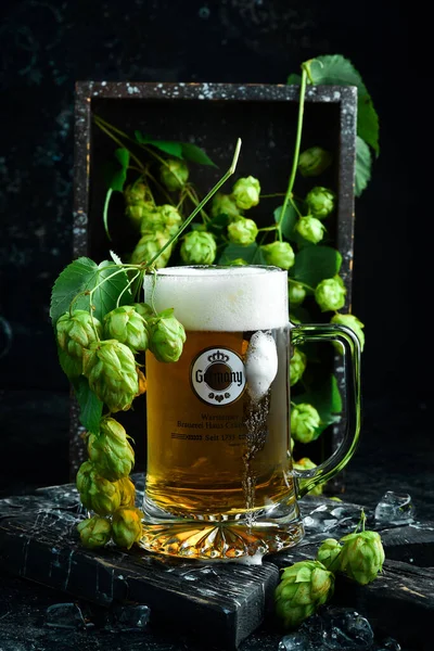 Ucrania Lviv Septiembre 2022 Cerveza Warsteiner Vaso Sobre Fondo Negro —  Fotos de Stock