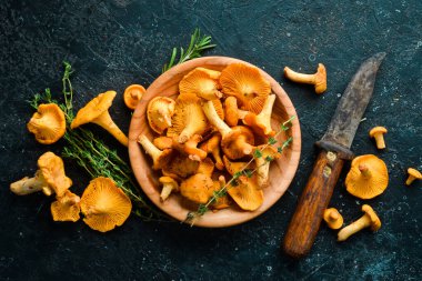 Çanakta Chanterelle mantarı. Organik orman yiyeceği. Üst Manzara. Taş bir arka planda.