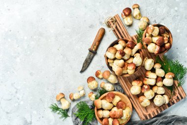 Organik Porcini Mantarı. Tepside beyaz mantar. Üst Manzara. Taş bir arka planda.