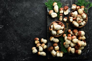 Autumn Cep Porcini Mantarları. Siyah taş bir masada beyaz mantar. Üst Manzara. Organik yiyecekler.