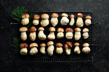 Siyah taş bir masada yabani Porcini mantarları. Üst Manzara. Organik yiyecekler.