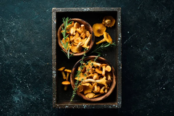 Chanterelle Mushrooms Wooden Box Top View Free Space Text — Stock Photo, Image