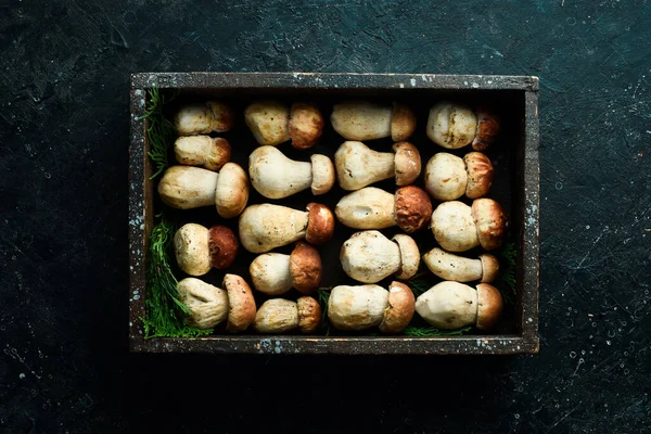 Tahta bir kutuda organik Porcini Mantarları. Üst Manzara. Taş bir arka planda.