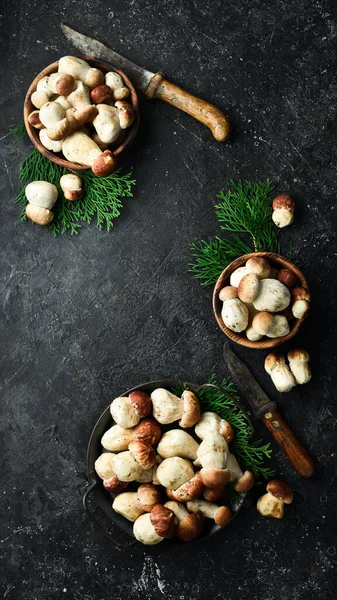 Autumn Cep Porcini Mushrooms White Mushroom Black Stone Table Top — Stock Photo, Image