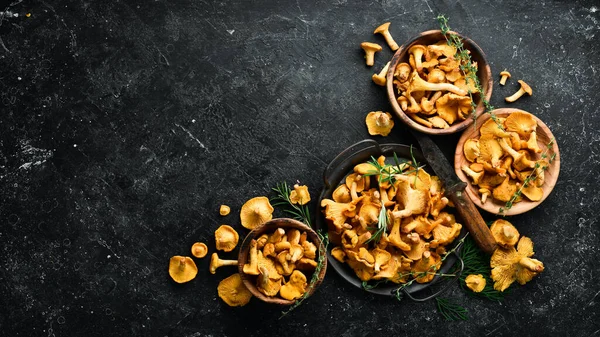 Cogumelos Chanterelle Estão Prontos Para Cozinhar Boliche Vista Superior Espaço Imagens Royalty-Free