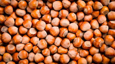 Fındık arkaplanı. Organik sağlıklı fındık. Kapat..