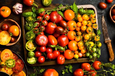 Organik yiyecekler. Tepside taze çiftlik domatesleri. Üst görünüm.
