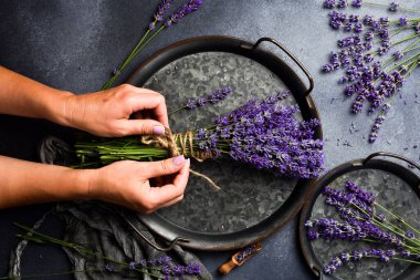 Kadın ellerinde lavanta buketi. Gri taştan bir arka planda. Üst Manzara. Metin için boş alan.