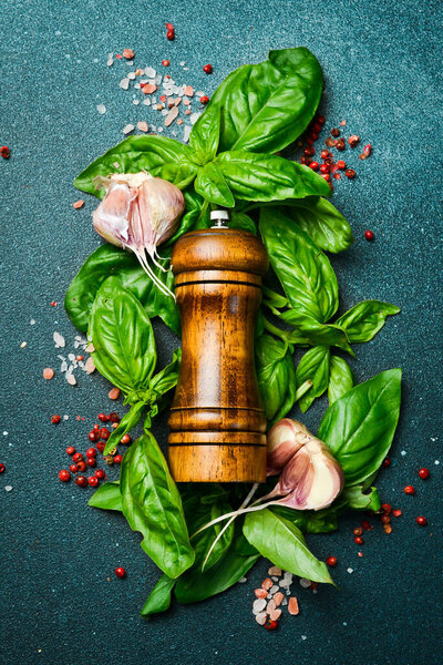 Перечная мельница, базилик и специи. Кулинарный фон. Ароматические травы. Вид сверху.