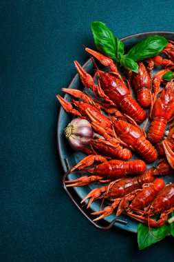 Metal mutfak tepsisinde taze haşlanmış kırmızı kerevit. Deniz ürünleri, bira atıştırmalıkları. Metin için boş alan.