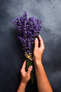 Bir demet lavanta. Kadınların elleri lavanta çiçeği bağlamaya hazırlanıyor. Üst görünüm.