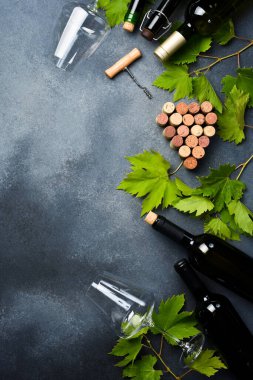 Şişelerde ve bardaklarda kırmızı ve beyaz şarap seti. Üzüm. Tasarım için kompozisyon.