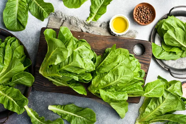 Romaine Marul 'la salata hazırlıyorum. Yeşil organik gıda. Üst Manzara. Gri beton arka planda.