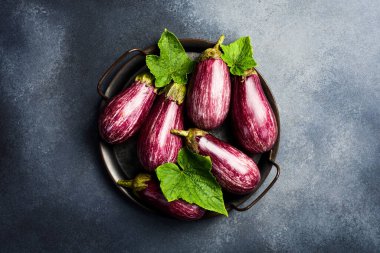 Organik taze patlıcan. Mor patlıcanlara yakın çekim. Üst Manzara. Gri beton arka planda.