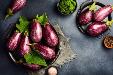 Bir grup patlıcan pişmeye hazır. Vejetaryen yemeği. Organik sebzeler. Üst görünüm.