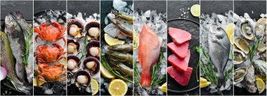Deniz ürünleri: yengeç, karides, istiridye ve balık çeşitleri. Fotoğraf kolajı, fotoğraf pankartı..