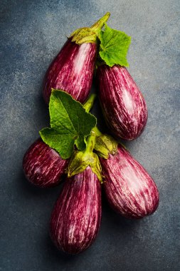 Organik taze patlıcan. Mor patlıcanlara yakın çekim. Üst Manzara. Gri beton arka planda.