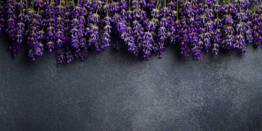 Lavanta arkaplan. Gri taştan arka planda taze lavanta çiçekleri. Üst görünüm.