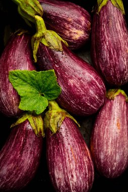 Patlıcan arka planı. Yakın planda taze toplanmış mor patlıcanlar. Üst görünüm.