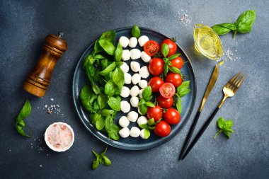 Domatesli renkli salata, mozarella peyniri ve fesleğen. Caprese salatası.