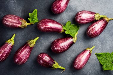 Organik taze patlıcan. Mor patlıcanlara yakın çekim. Üst Manzara. Gri beton arka planda.