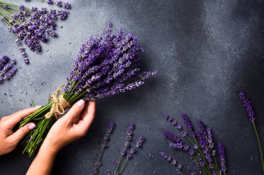 Kadın ellerinde lavanta buketi. Gri taştan bir arka planda. Üst Manzara. Metin için boş alan.