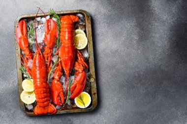 İki büyük haşlanmış ıstakoz ve limonlu metal tepside ezilmiş buz. Üst Manzara. Yakın plan..