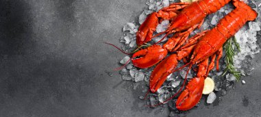 Limonlu, biberiyeli ve baharatlı enfes kırmızı ıstakoz. Gri taştan bir arka planda. Üst Manzara. Metin için boş alan.