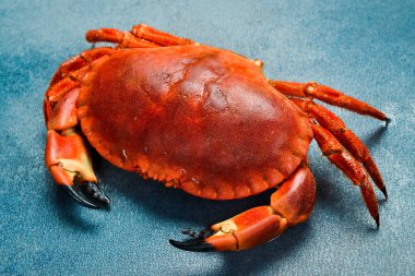 Deniz ürünleri. Kaynamış yengeç, yan görüş, yakın çekim..