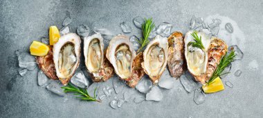 Buzlu taze çiğ istiridye. Sağlıklı deniz ürünleri. Gri desenli taş arka planda. Metin için boş alan.