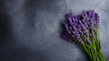 Bir demet lavanta çiçeği. Gri beton arka planda mis kokulu mor çiçekler. Üst görünüm.
