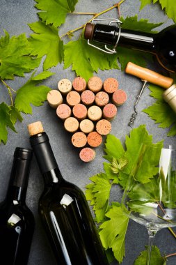 Şişelerde ve bardaklarda kırmızı ve beyaz şarap seti. Üzüm. Tasarım için kompozisyon.