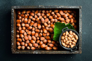 Tahta bir kutuda fındık seti. Organik sağlıklı sonbahar fındıkları. Fındık kadar sağlıklı organik kahverengi filbert sonbahar arka plan konsepti.