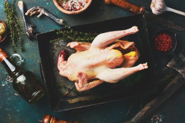 Bütün tavuğu metal tepside çiğ çiğ yedim. Yakın plan..