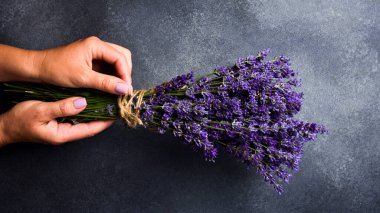 Bir demet lavanta. Kadınların elleri lavanta çiçeği bağlamaya hazırlanıyor. Üst görünüm.