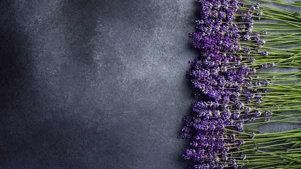 Lavanta arkaplan. Gri taştan arka planda taze lavanta çiçekleri. Üst görünüm.