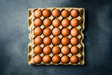 Üst manzara, kağıt tepside tavuk yumurtası. Gri beton arka planda.