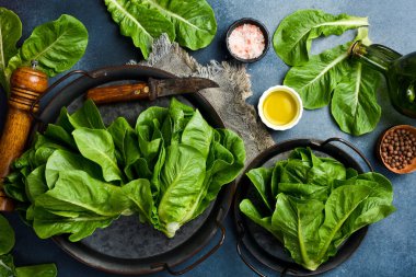 Romaine Marul. Yeşil organik gıda. Salata hazırlığı. Üst Manzara. Gri beton arka planda.